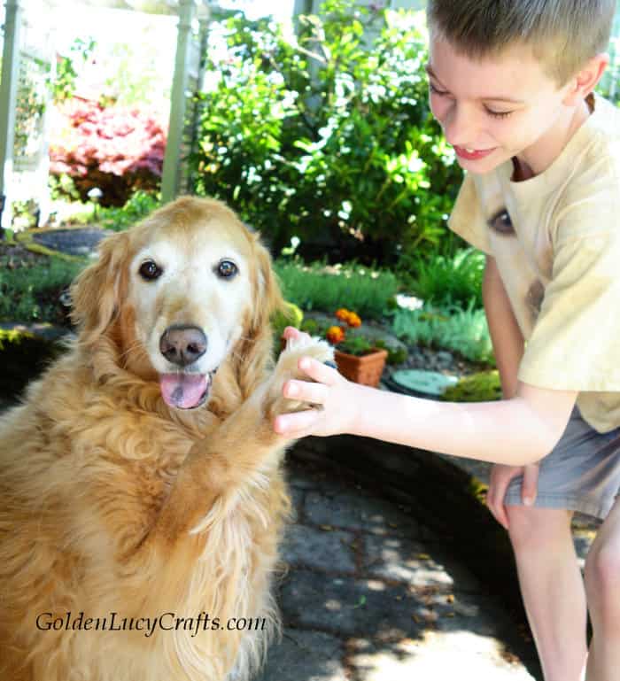 Boy holding golden retriever's paw.