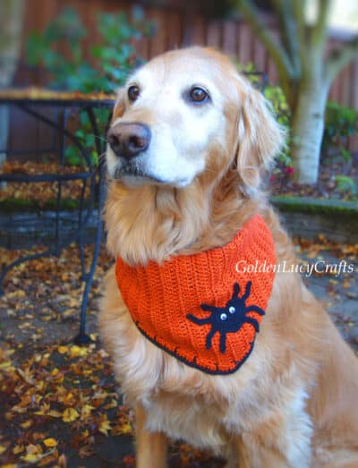 Halloween Dog Bandana, Free Crochet Pattern - GoldenLucyCrafts