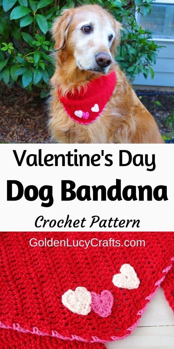 Dog dressed in red bandana, text saying Valentine's Day dog bandana crochet pattern.
