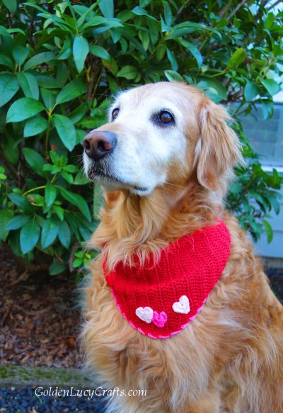 Valentine's Day dog bandana crochet pattern free, valentine bandana, crochet for pets