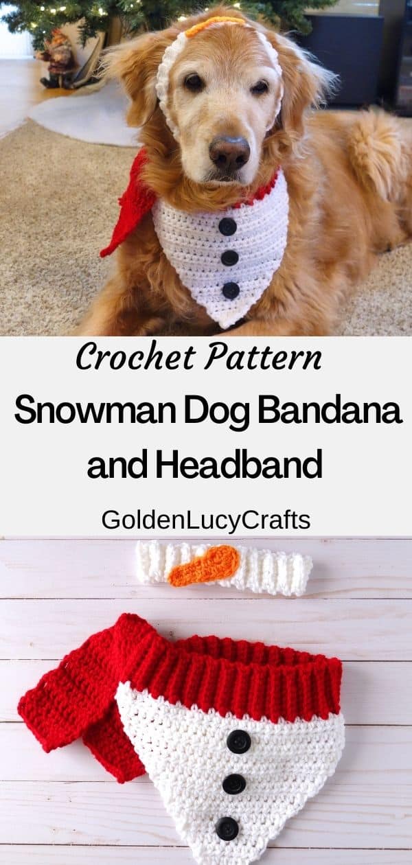 Dog dressed in crochet Christmas dog bandana
