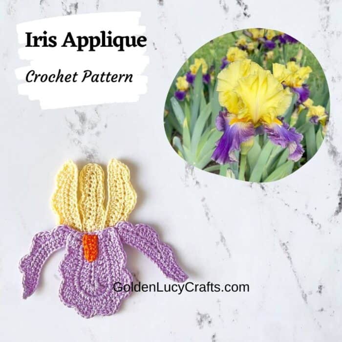 Crochet iris applique on the bottom, real iris picture on top.