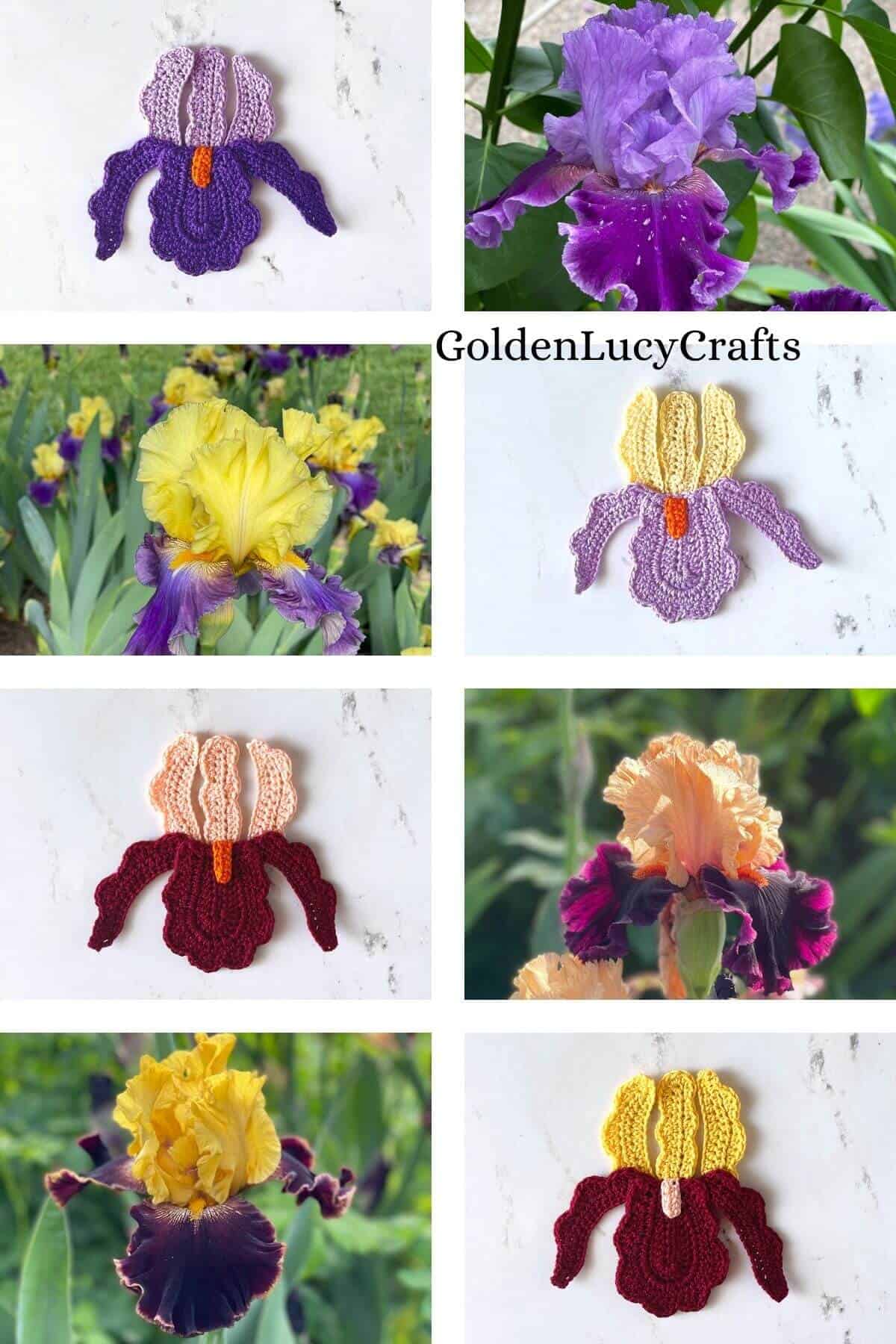 Picture collage of crocheted and real iris flowers.