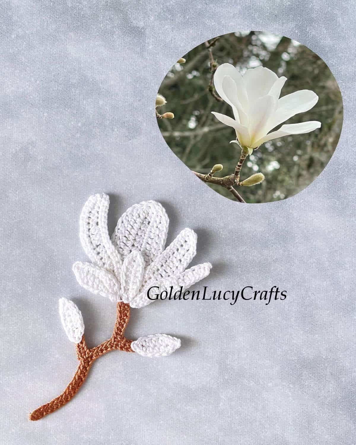 Crocheted and real white magnolia flowers.
