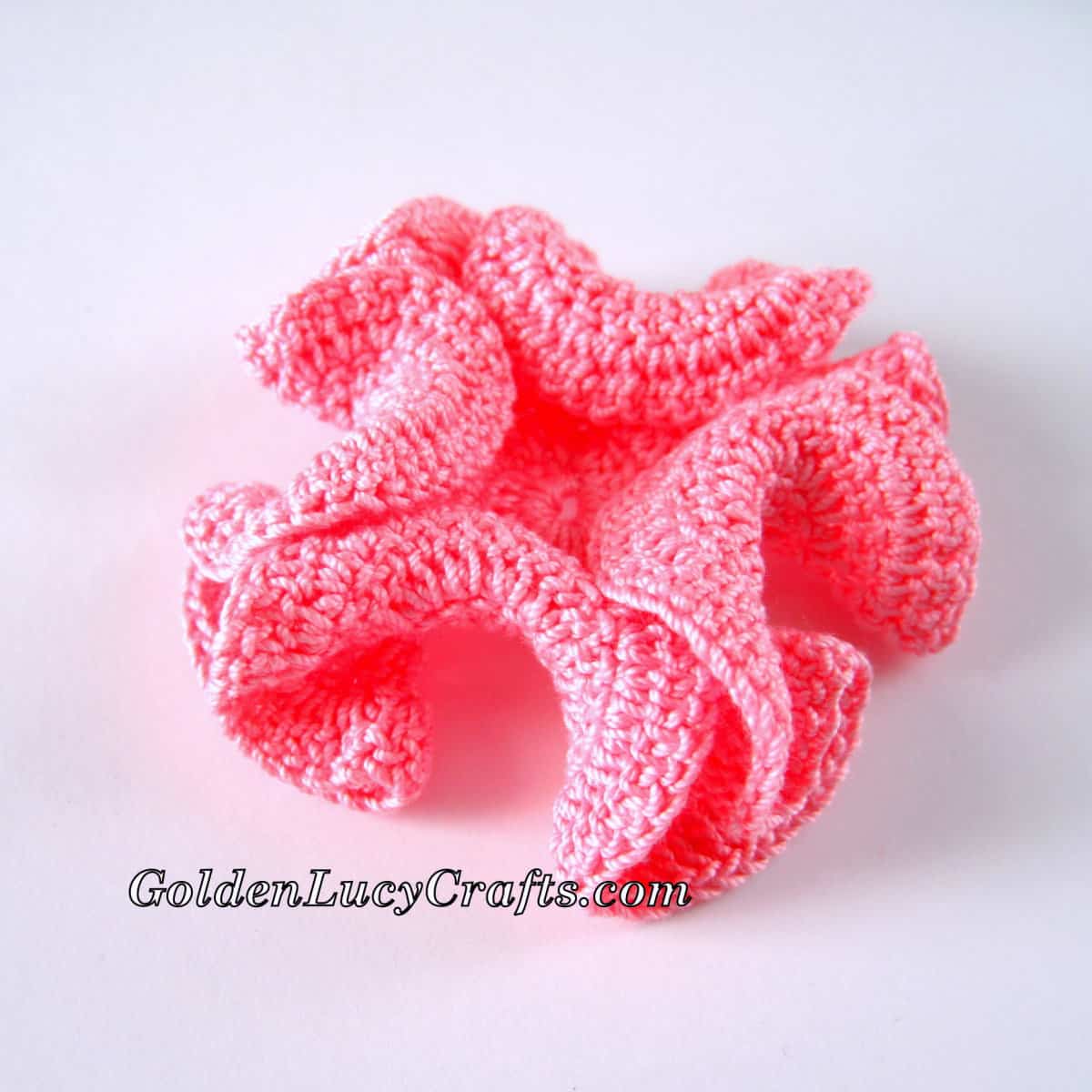Crochet hyperbolic coral in pink color.