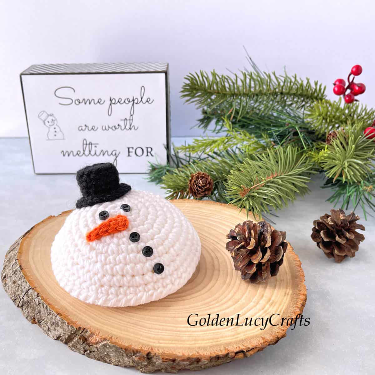 Crochet melted snowman, two pine cones, Christmas tree branch, sign saying Some people are worth melting for.