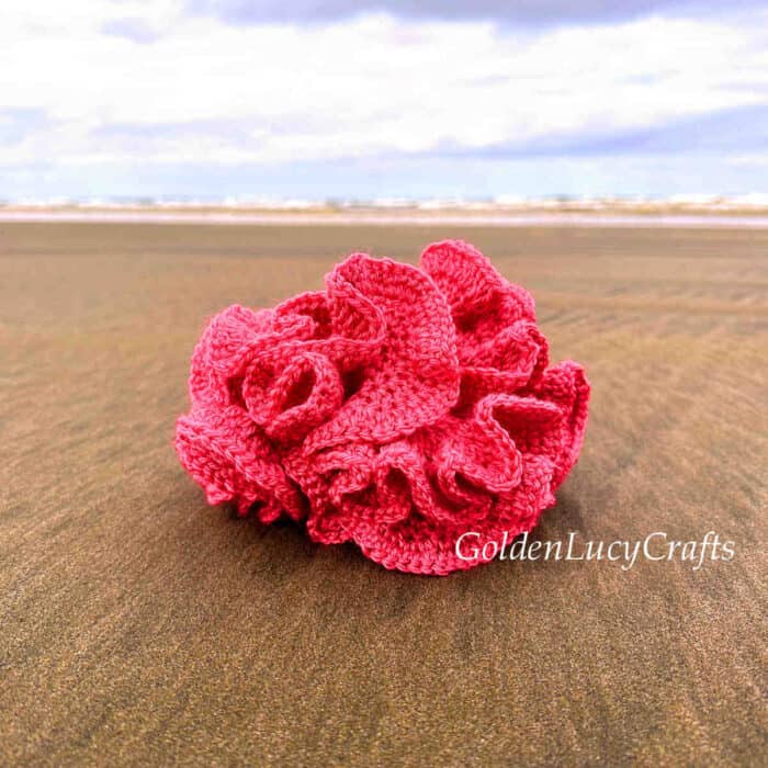 Crocheted pink hyperbolic coral laying on the sand.