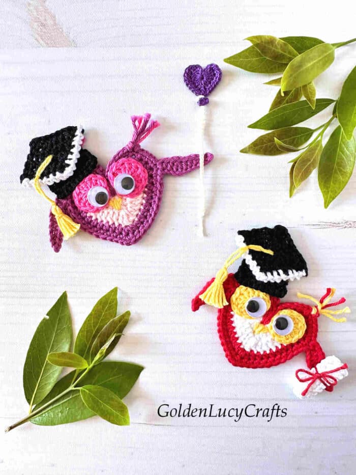 Crochet Graduation Owl Applique - GoldenLucyCrafts