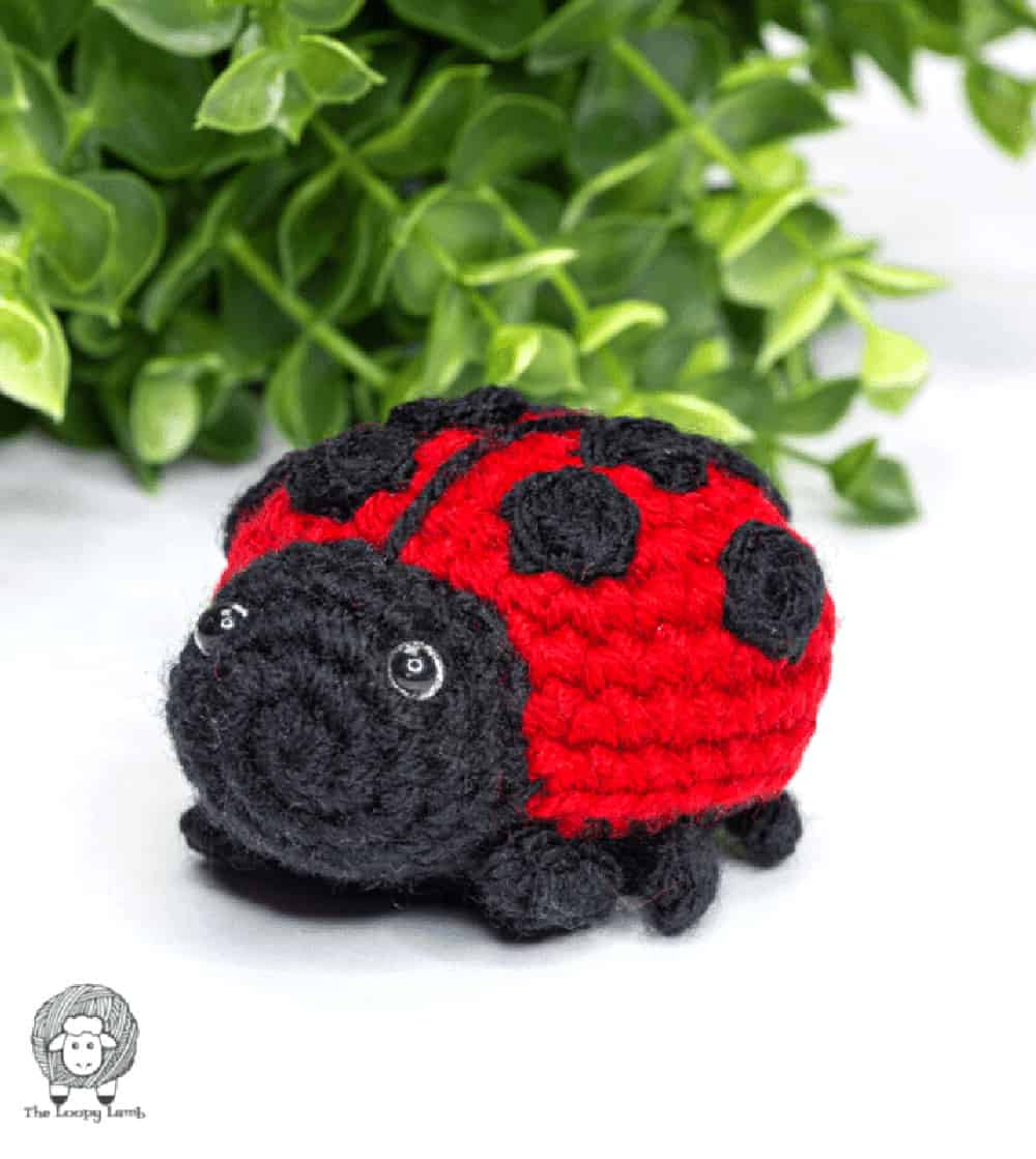 Crochet ladybug amigurumi.