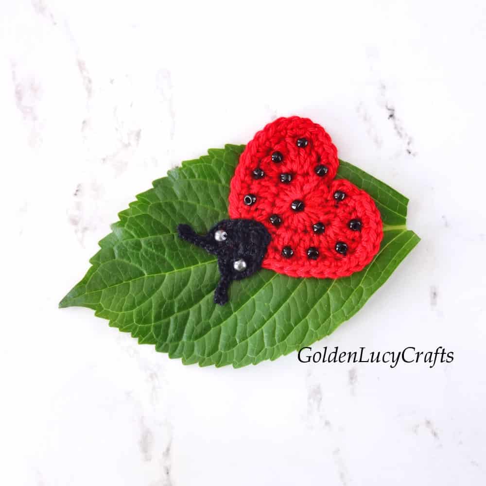 Crochet heart shaped ladybug applique on the green leaf.