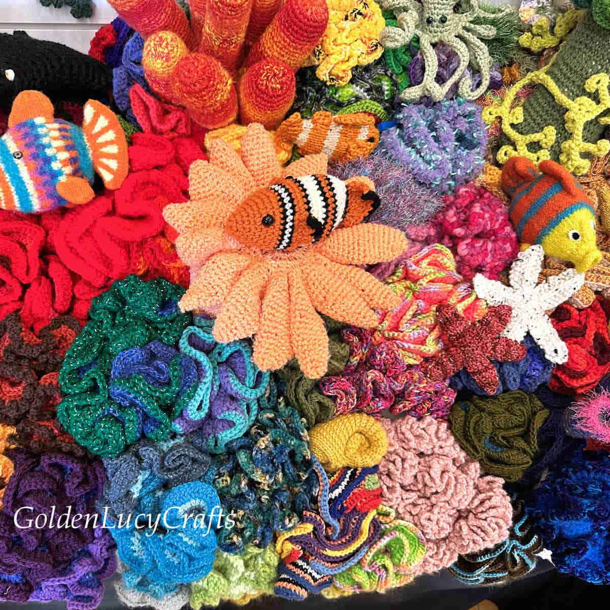 Crochet hyprbolic corals and fish.
