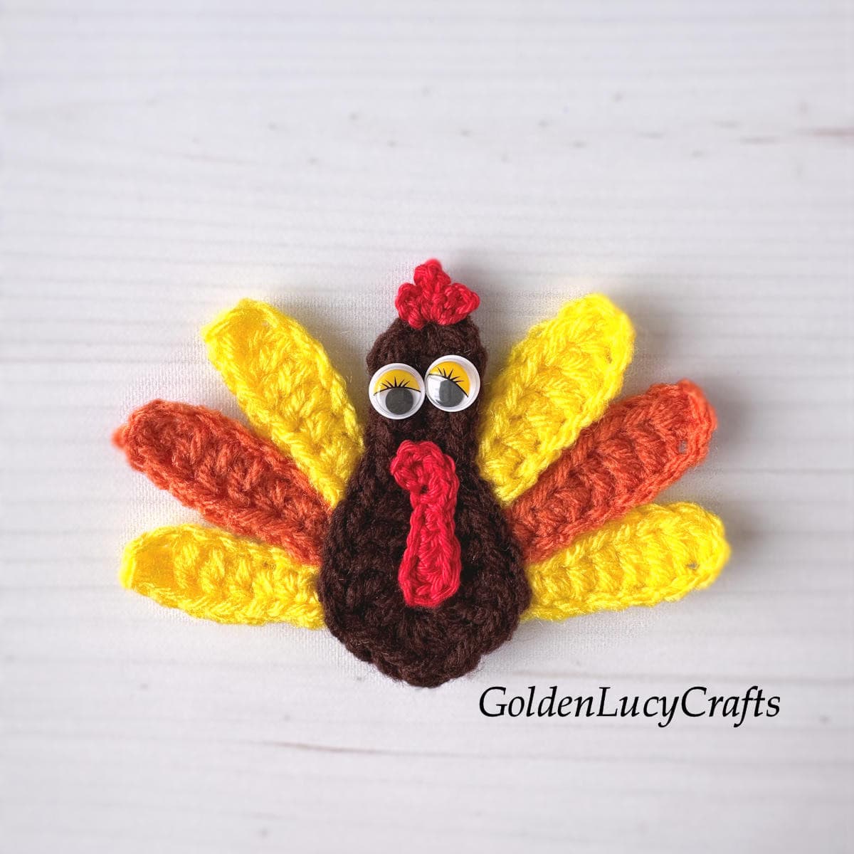 Crocheted turkey applique with googly eyes.