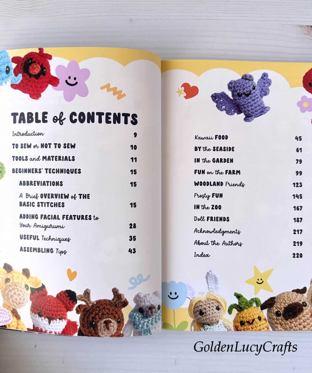 The image shows an open book with its table of contents visible.